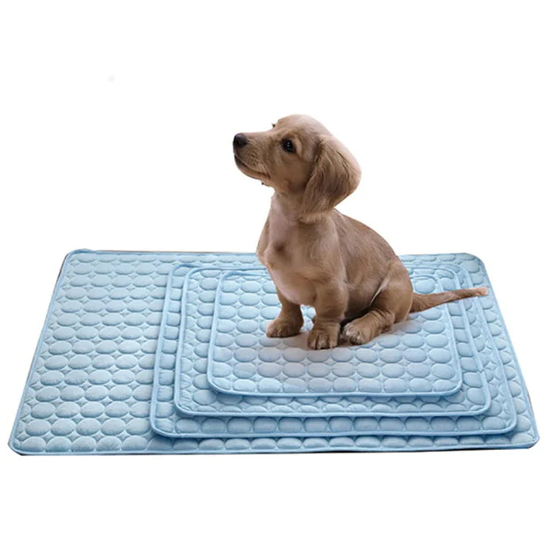 Hunde Kühlmatte